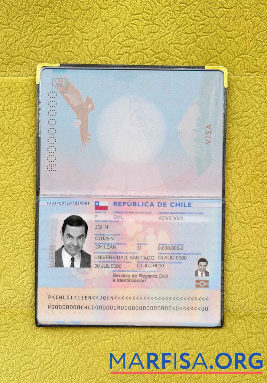 Blank Chile passport photo look sample